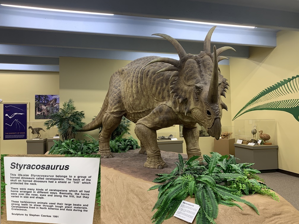 Cretaceous Interior Seaway exhibit