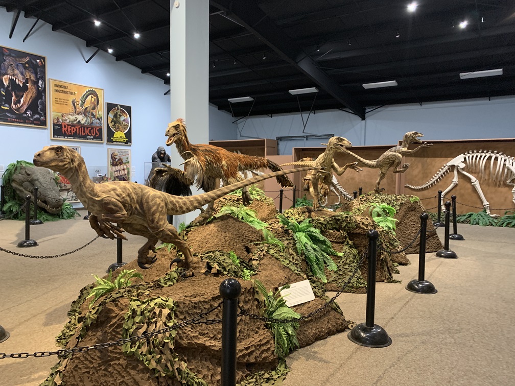 Dinosaur exhibit gallery at The Dinosaur Museum