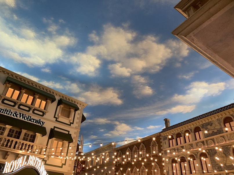 The Venetian — Inside the resort.