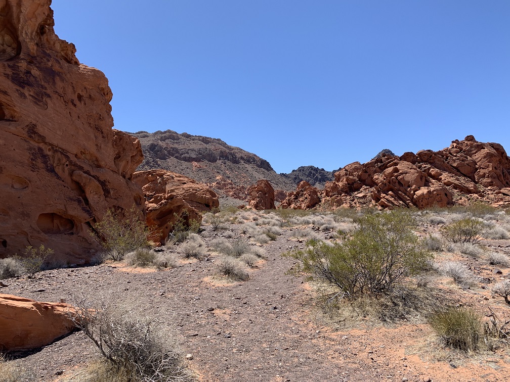 Vegas Bike Ride
