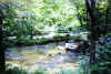 Small brook beside the road.. (43514 bytes)