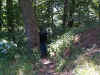 When you gotta go, you gotta go...6-01picture11.jpg (100256 bytes)