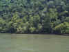 A lone canoeist on the river...6-01picture24.jpg (71129 bytes)
